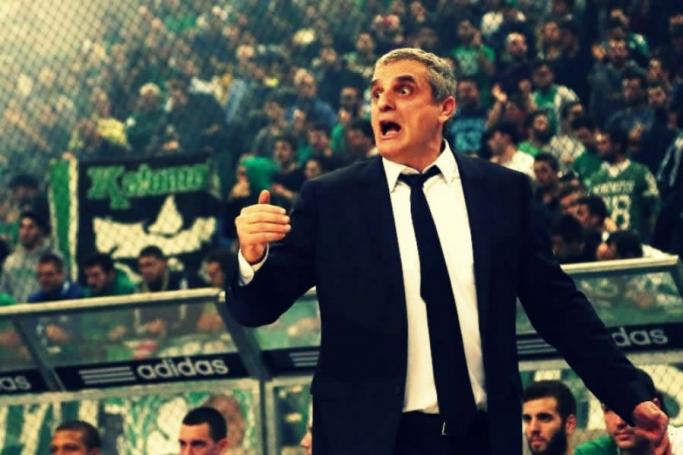 Η όπως ηλιόσποροι | panathinaikos24.gr Η όπως ηλιόσποροι | panathinaikos24.gr