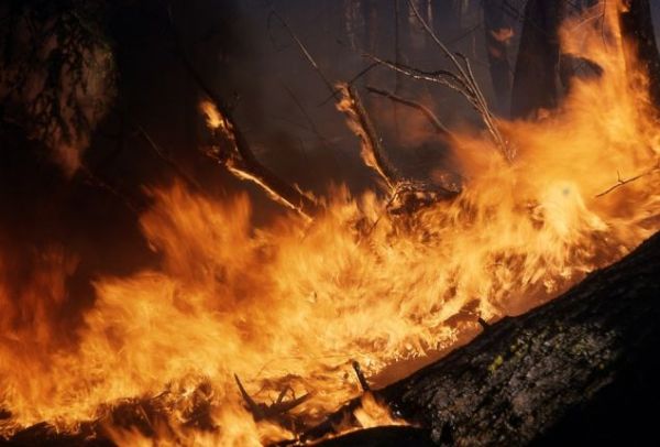 ΕΚΤΑΚΤΟ: Ισχυρή πυρκαγιά στην Αττική!