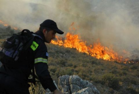 Πύρινος εφιάλτης: Μεγάλη πυρκαγιά καίει περιοχή της κεντρικής Ελλάδας!