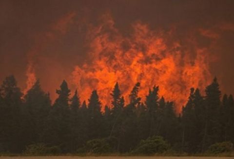 Συναγερμός: Φωτιά καίει μεγάλο βουνό της Ελλάδας!