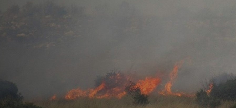 Εκτός ελέγχου η πυρκαγιά στην Πρέβεζα – Απειλούνται σπίτια (pics &vids)