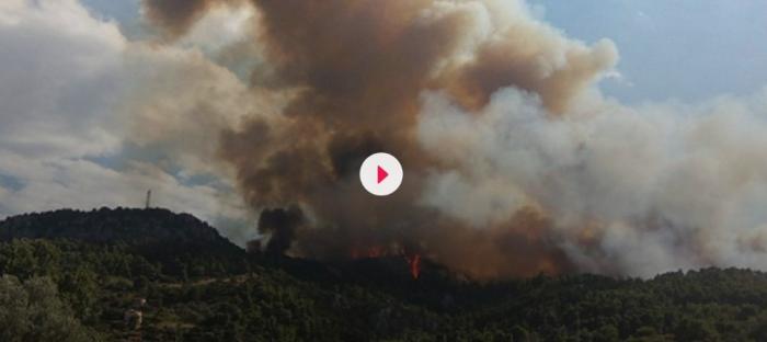 Απίστευτο: Ο καπνός από τη φωτιά στην Αττική έφτασε μέχρι το Λιβυκό Πέλαγος (vid) | panathinaikos24.gr Απίστευτο: Ο καπνός από τη φωτιά στην Αττική έφτασε μέχρι το Λιβυκό Πέλαγος (vid) | panathinaikos24.gr