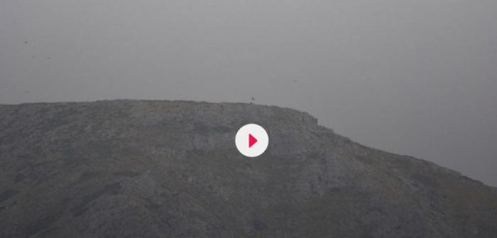 Ανθρωποφάς: Η σημαία κυματίζει στη βραχονησίδα – Τα ντοκουμέντα (pics&vid) | panathinaikos24.gr Ανθρωποφάς: Η σημαία κυματίζει στη βραχονησίδα – Τα ντοκουμέντα (pics&vid) | panathinaikos24.gr