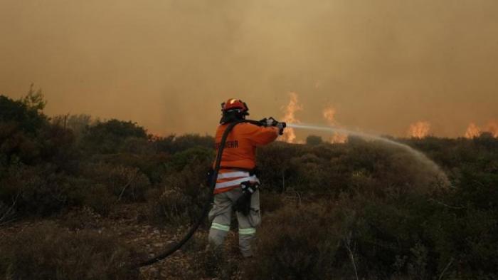 Σοκ! Άλλοι 30 νεκροί σε κτήμα στο Κόκκινο Λιμανάκι – «Ήταν αγκαλιασμένοι» | panathinaikos24.gr Σοκ! Άλλοι 30 νεκροί σε κτήμα στο Κόκκινο Λιμανάκι – «Ήταν αγκαλιασμένοι» | panathinaikos24.gr