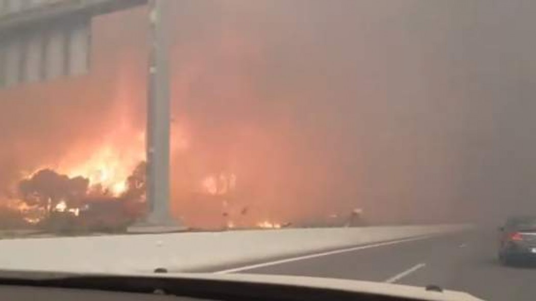 Βίντεο-σοκ από τη φωτιά στην Κινέτα: Οι φλόγες μια… ανάσα από τα αυτοκίνητα
