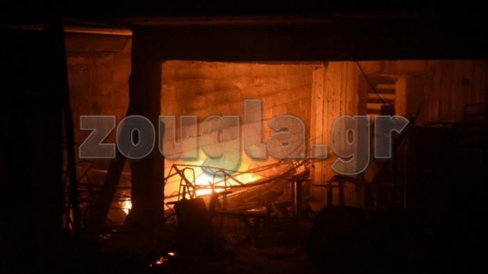 Εικόνες «Αποκάλυψης» στο Κόκκινο Λιμανάκι (pics) | panathinaikos24.gr Εικόνες «Αποκάλυψης» στο Κόκκινο Λιμανάκι (pics) | panathinaikos24.gr