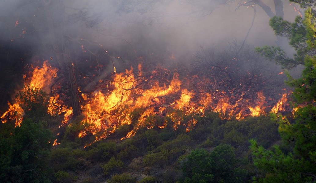 ΦΩΤΙΑ ΤΩΡΑ: Πυρκαγιά Μαραθώνα – Συναγερμός στην Πυροσβεστική