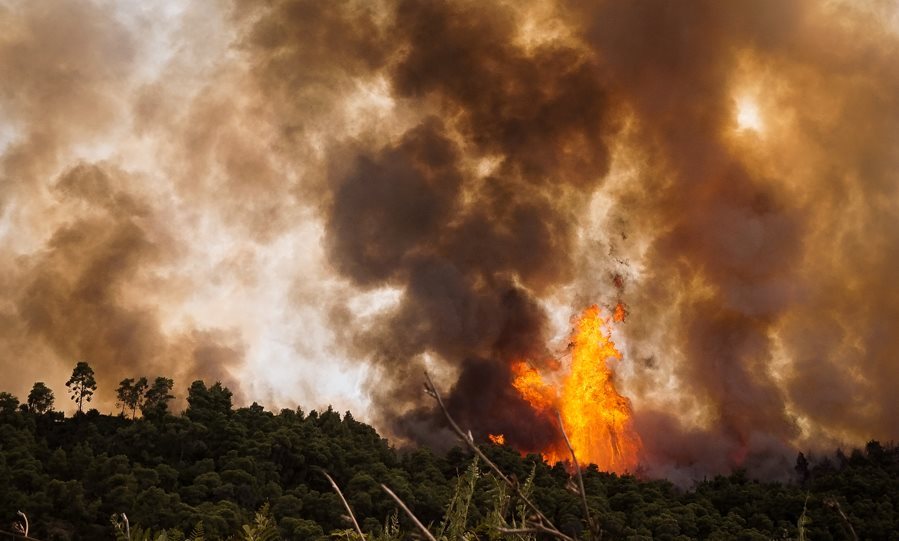 Διπλό πύρινο μέτωπο στην Αμαλιάδα: Νέα εστία φωτιάς ανάμεσα σε Γεράκι και Ανάληψη
