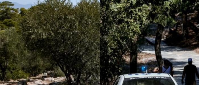 Επιστολή – γροθιά στον Τσίπρα από τη μάνα που έχασε το παιδί της στου Φιλοπάππου | panathinaikos24.gr Επιστολή – γροθιά στον Τσίπρα από τη μάνα που έχασε το παιδί της στου Φιλοπάππου | panathinaikos24.gr