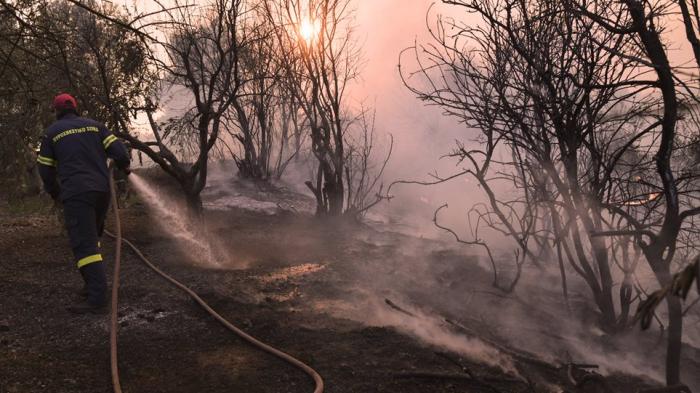 Μαίνεται η φωτιά στην Εύβοια – Ολονύχτια μάχη με τις φλόγες | panathinaikos24.gr Μαίνεται η φωτιά στην Εύβοια – Ολονύχτια μάχη με τις φλόγες | panathinaikos24.gr