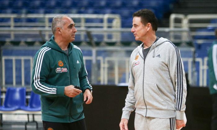 Αποθέωση για Πιτίνο στο ΟΑΚΑ! (vid) | panathinaikos24.gr Αποθέωση για Πιτίνο στο ΟΑΚΑ! (vid) | panathinaikos24.gr
