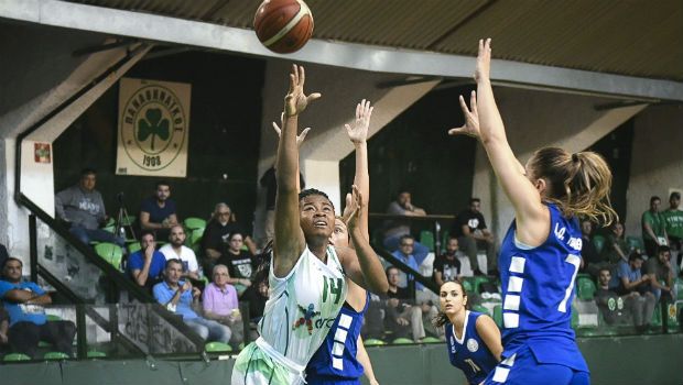 Τριφυλλάρα για ακόμη μια νίκη! | panathinaikos24.gr Τριφυλλάρα για ακόμη μια νίκη! | panathinaikos24.gr