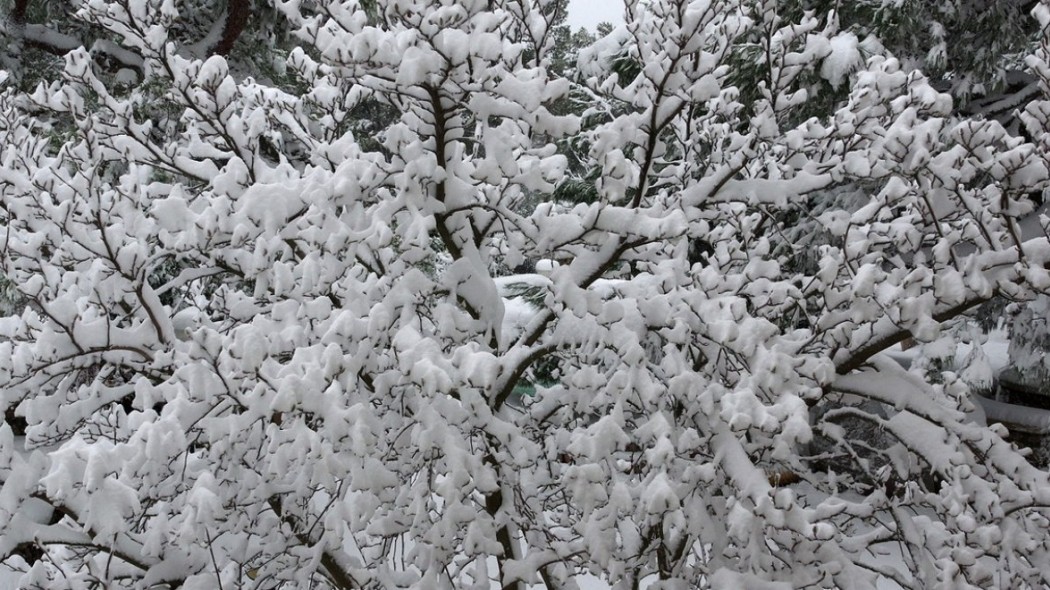 Καιρός: Χιονίζει στην Κηφισιά! Πότε θα χιονίσει στην Αθήνα