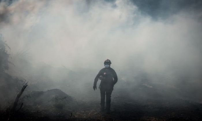 Τραγικές εικόνες από τα καμένα στην Εύβοια – Στάχτες και νεκρά ζώα παντού | panathinaikos24.gr Τραγικές εικόνες από τα καμένα στην Εύβοια – Στάχτες και νεκρά ζώα παντού | panathinaikos24.gr