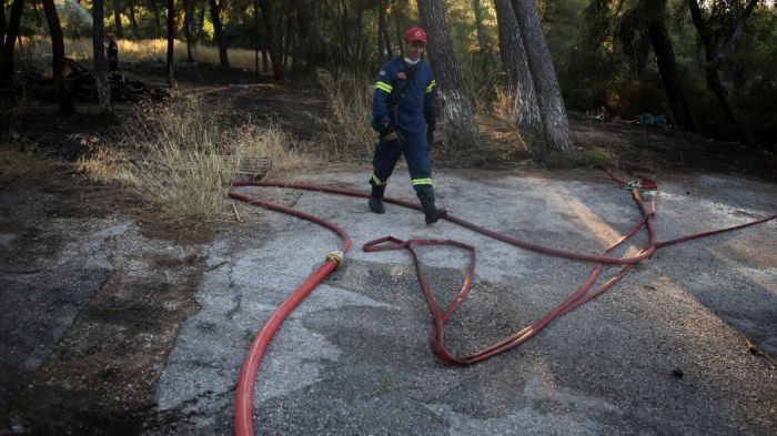 Τρεις νέες πυρκαγιές σε Πρέσπες, Κιλκίς και Ηλεία – Επί τόπου η πυροσβεστική | panathinaikos24.gr Τρεις νέες πυρκαγιές σε Πρέσπες, Κιλκίς και Ηλεία – Επί τόπου η πυροσβεστική | panathinaikos24.gr