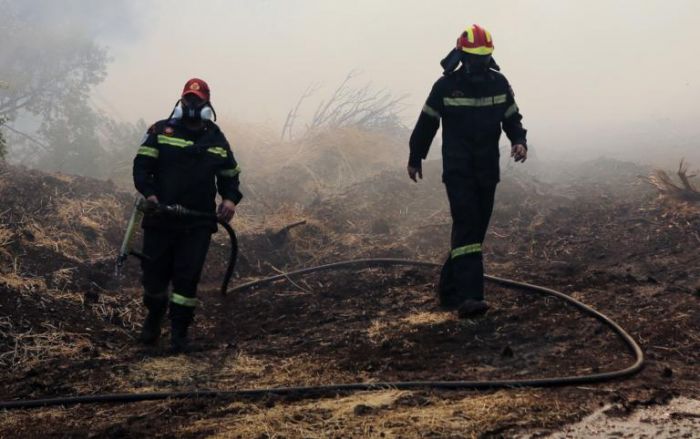 Στουπιά, μπιτόνια και γκαζάκια στο σημείο που ξεκίνησε η φωτιά της Εύβοιας! | panathinaikos24.gr Στουπιά, μπιτόνια και γκαζάκια στο σημείο που ξεκίνησε η φωτιά της Εύβοιας! | panathinaikos24.gr