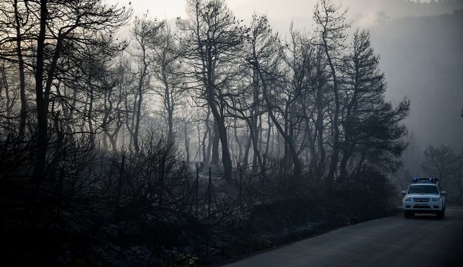 Βίντεο-σοκ καταγράφει την απόλυτη καταστροφή από τη φωτιά στην Εύβοια | panathinaikos24.gr Βίντεο-σοκ καταγράφει την απόλυτη καταστροφή από τη φωτιά στην Εύβοια | panathinaikos24.gr