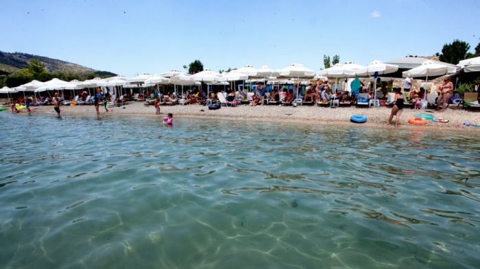 Αναψυκτήριο στο Αίγιο έδινε κουπόνια κόμματος αντί για αποδείξεις! | panathinaikos24.gr Αναψυκτήριο στο Αίγιο έδινε κουπόνια κόμματος αντί για αποδείξεις! | panathinaikos24.gr