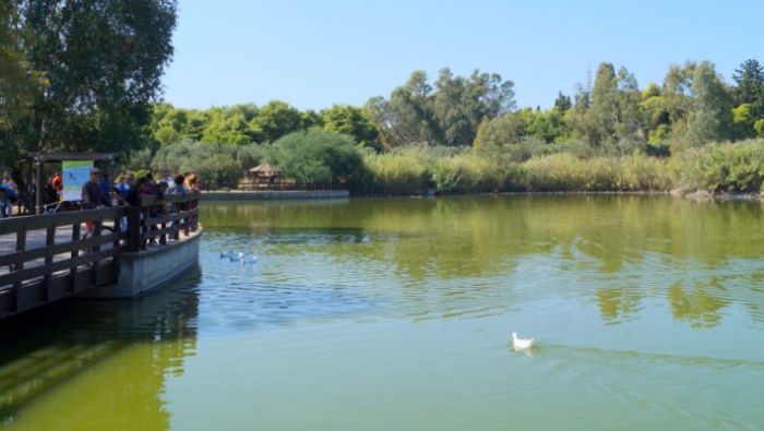 Το στολίδι της Αθήνας αντί να βουλιάζει από κόσμο, βουλιάζει από εγκατάλειψη | panathinaikos24.gr Το στολίδι της Αθήνας αντί να βουλιάζει από κόσμο, βουλιάζει από εγκατάλειψη | panathinaikos24.gr