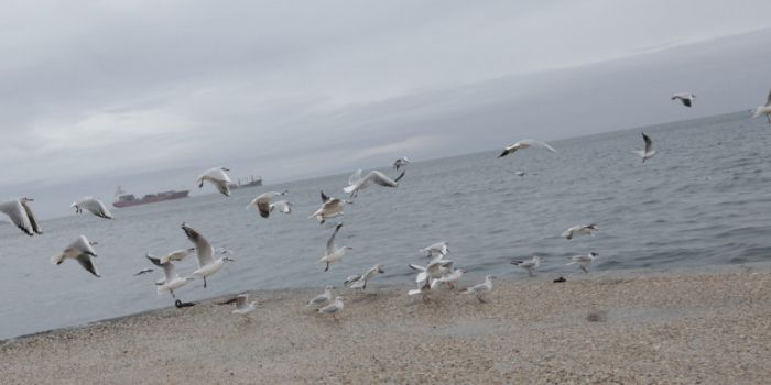 Αλλάζει απότομα ο καιρός: Πέφτει η θερμοκρασία – Καταιγίδες και χαλάζι | panathinaikos24.gr Αλλάζει απότομα ο καιρός: Πέφτει η θερμοκρασία – Καταιγίδες και χαλάζι | panathinaikos24.gr