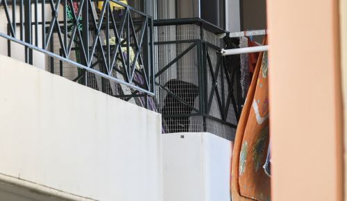 Τραγωδία στα Γλυκά Νερά: Συγκλονίζει το ιατρικό ανακοινωθέν για την κατάσταση του βρέφους | panathinaikos24.gr Τραγωδία στα Γλυκά Νερά: Συγκλονίζει το ιατρικό ανακοινωθέν για την κατάσταση του βρέφους | panathinaikos24.gr