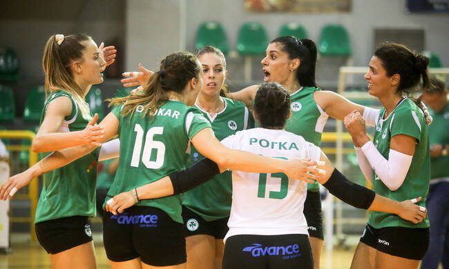 Να μεγαλώσουν το σερί | panathinaikos24.gr Να μεγαλώσουν το σερί | panathinaikos24.gr