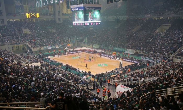 Ο πιστός φίλος του Παναθηναϊκού από τη Βαλένθια | panathinaikos24.gr Ο πιστός φίλος του Παναθηναϊκού από τη Βαλένθια | panathinaikos24.gr