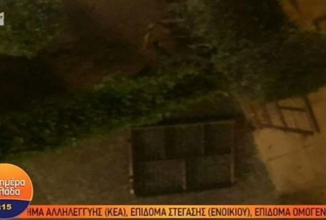 Έδωσαν ραντεβού για ξύλο εν μέσω καραντίνας στο Παλαιό Φάληρο (vid) | panathinaikos24.gr Έδωσαν ραντεβού για ξύλο εν μέσω καραντίνας στο Παλαιό Φάληρο (vid) | panathinaikos24.gr