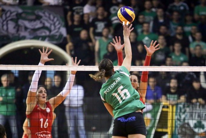 Στην Σλοβενία επέστρεψε η Πότοκαρ (Pic) | panathinaikos24.gr Στην Σλοβενία επέστρεψε η Πότοκαρ (Pic) | panathinaikos24.gr