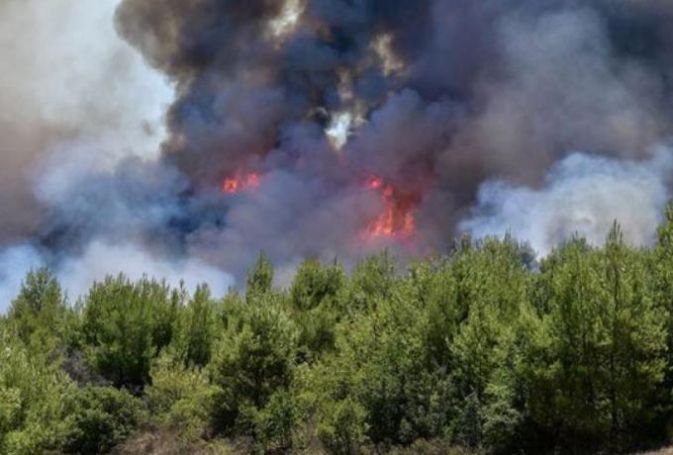 Μεγάλη φωτιά στη Νέα Μάκρη | panathinaikos24.gr Μεγάλη φωτιά στη Νέα Μάκρη | panathinaikos24.gr
