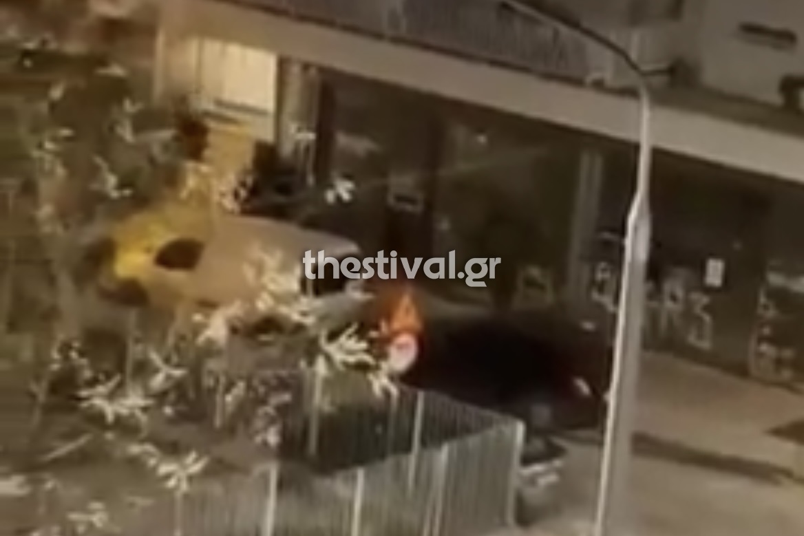 Βίντεο ντοκουμέντο από την φονική επίθεση στον Άλκη (Vid)