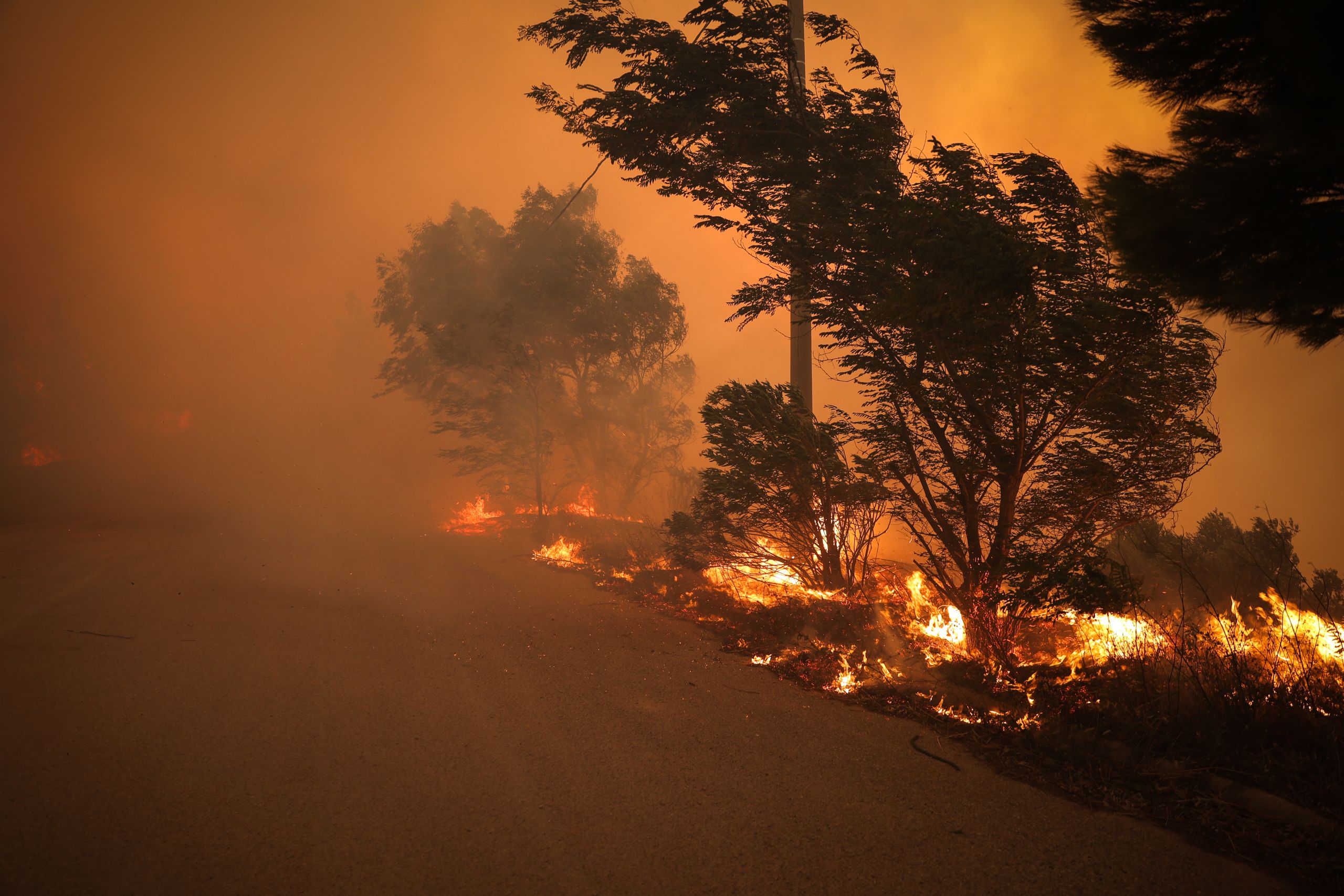 Φωτιά στην Πεντέλη: Κάτοικοι αρνούνται να εγκαταλείψουν τις περιουσίες τους